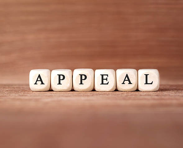 appeal case commentary